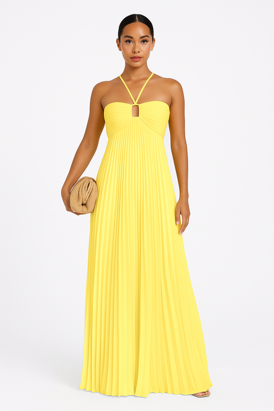 Cyra – Pleated Maxi Halter Dress